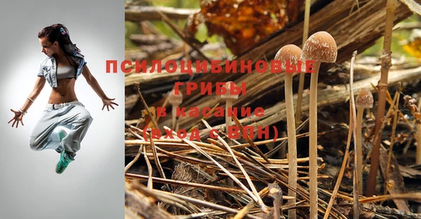 тгк Краснослободск