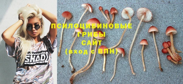твердый Красноперекопск