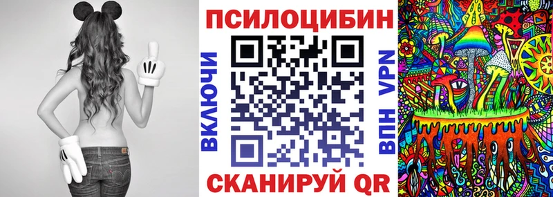 Псилоцибиновые грибы GOLDEN TEACHER  наркотики  Камышин 