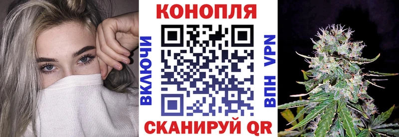 blacksprut сайт  Камышин  Бошки марихуана THC 21% 